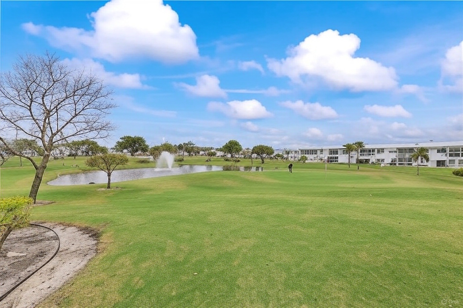 leisureville-fairway-golf-course Leisureville Fairway
golf course with golfer putting on green via Grok 3