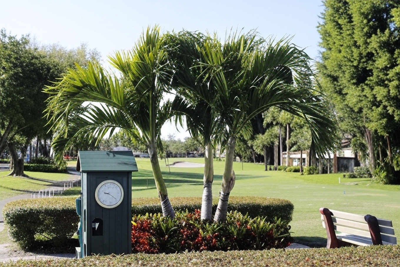 The Landings Yacht Golf and Tennis Club
tee box via Grok 3