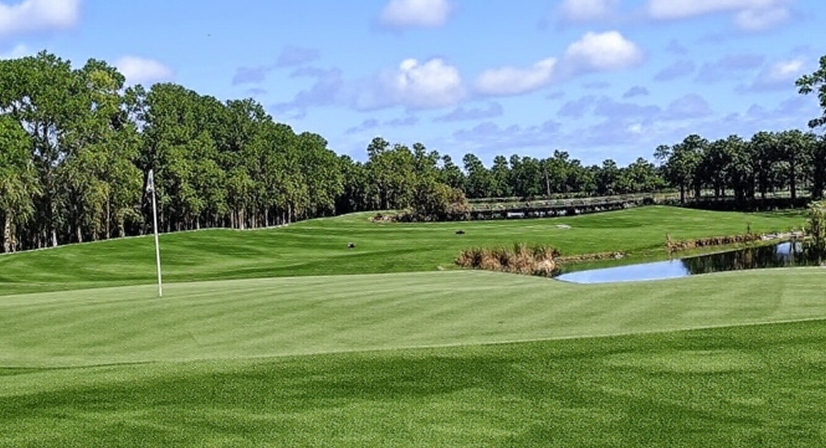 Forest Glen Golf & Country Club in Naples Florida view of green with flagstick via Grok