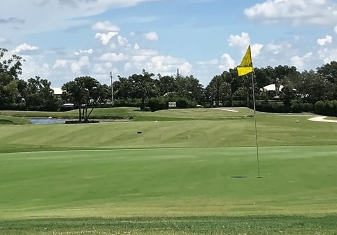 Quail Village Golf Club in Naples Florida view of green and flagstick via Grok