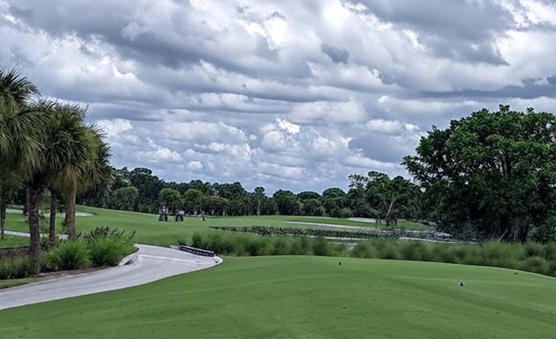 Royal Poinciana Golf Club in Naples Florida fairway view and golf carts via Grok