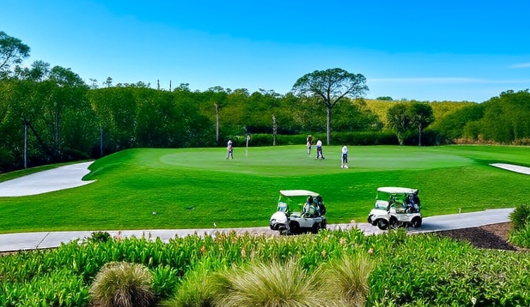 Collier's Reserve Country Club in Naples Florida view of green with golf carts via Grok