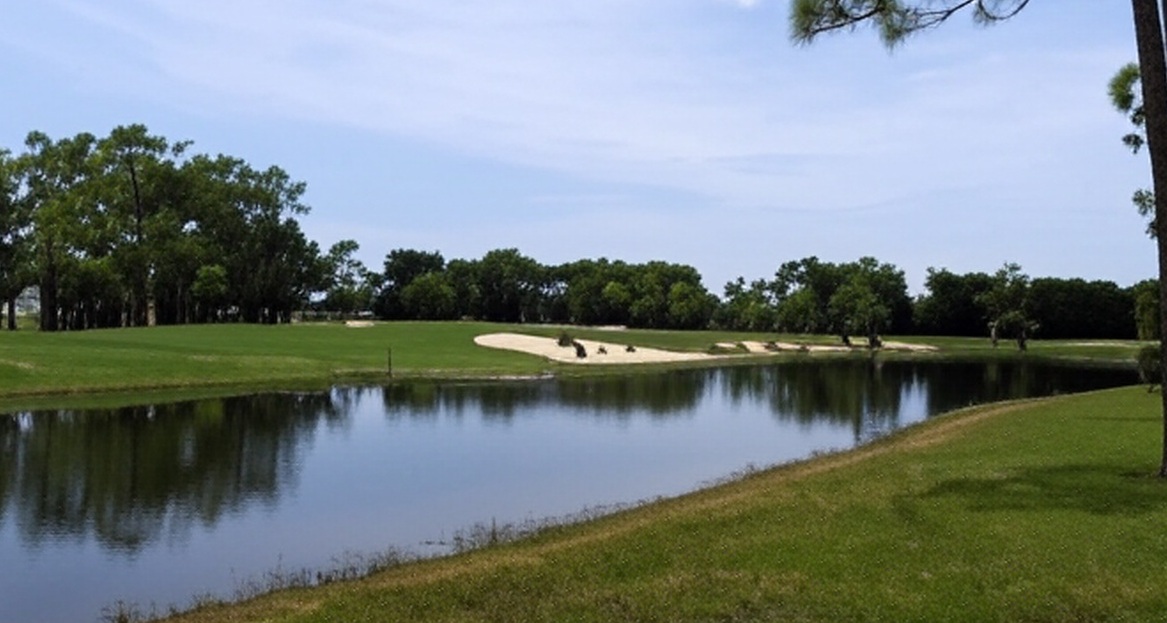 Royal Wood Golf & Country Club in Naples Florida golf course water view via Grok