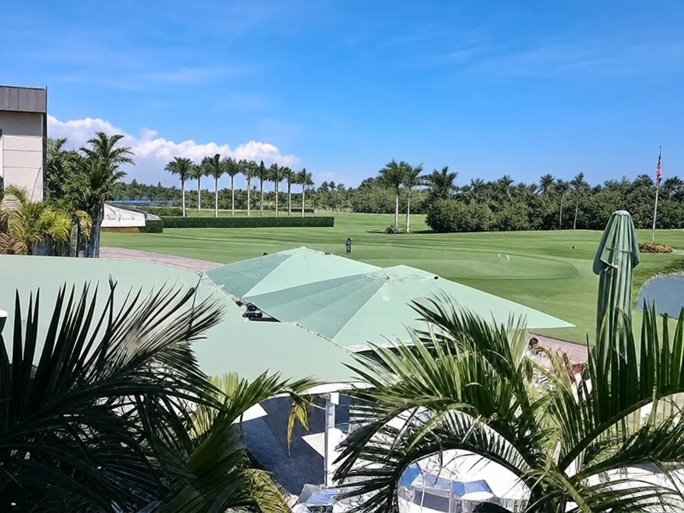 La Gorce Country Club course landscape with palm trees via Grok
