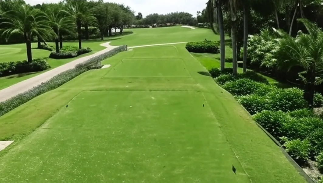 Boca Grove in Boca Raton Florida view of first hole tee box via Grok