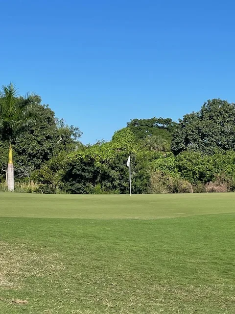 Osprey Point Golf Course Raven 5th Hole Green