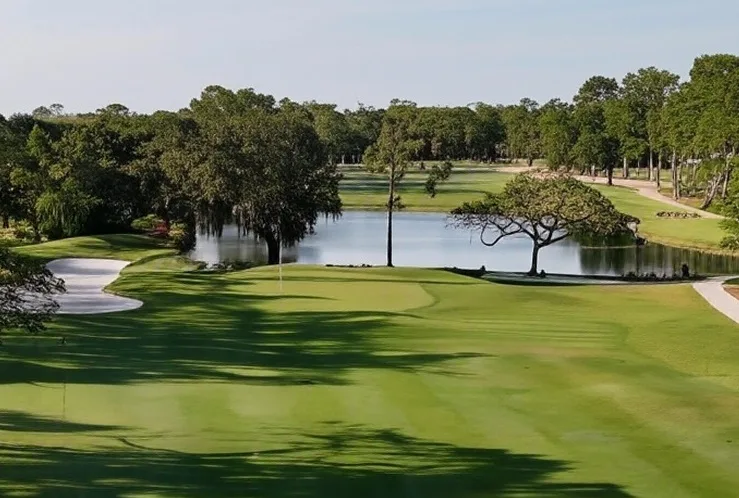 Quail Creek Country Club in Naples Florida view of golf course via Grok
