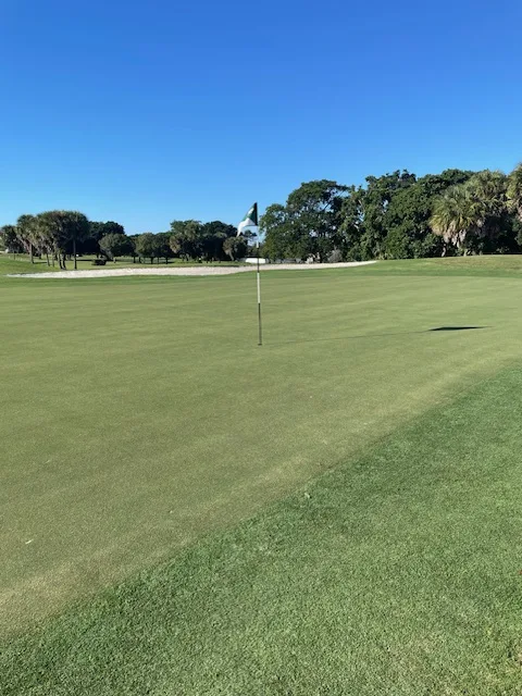 Southwinds Golf Course 7th Green via SoFloGolf