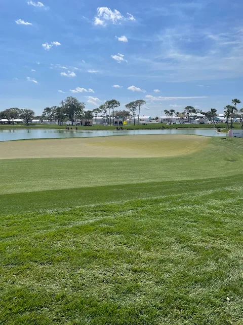 The Champion Course at PGA National Resort 1st Green