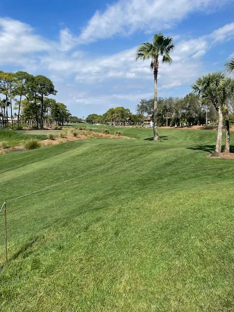 The Champion Course at PGA National Resort 2nd Fairway